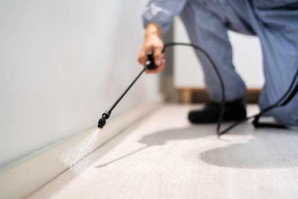 Licensed Termite Control service in Salem city County, VA - Nex Pest Control