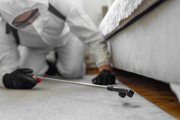 Professional Termite Control technician working in Salem city County, VA